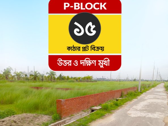 15 Katha North South Facing Plot in Bashundhara P Block | Agamir Property