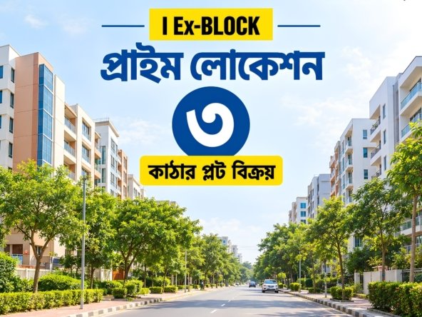 3 Katha Plot In Bashundhara I Extension Block | Agamir Property