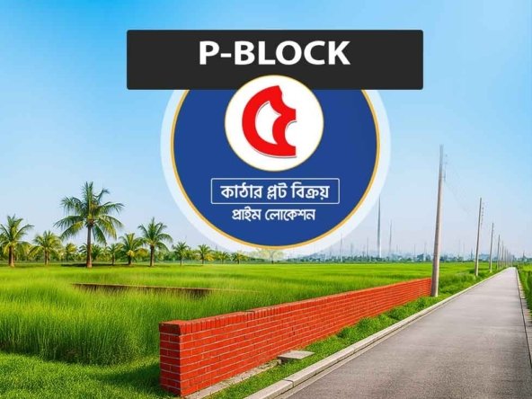 5 Katha Plot In Bashundhara P Block | Agamir Property